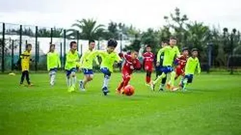 安博体育 产品 085248 roo